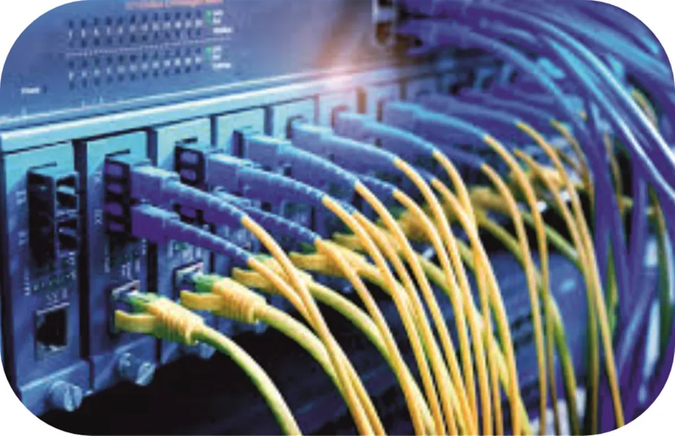 Cabluri de rețea conectate într-un patch panel